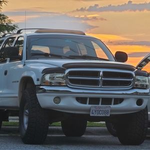 Meet your Posher, Roy